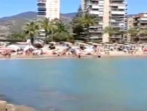 Las playas de la Comunidad Valenciana vuelven a la normalidad tras la llegada de peces raya a la costa