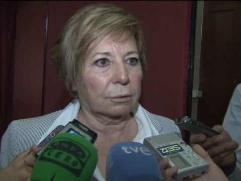 Villalobos: No hay ningún motivo para que el presidente del Constitucional comparezca en el Congreso