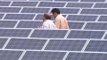 Los inversores en huertos solares afirman que la reforma energética va a arruinarlos