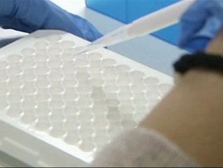 Ficha por Harvard tras año y medio sin cobrar en España