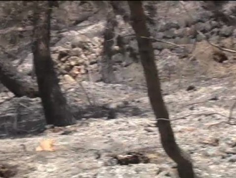 Así ha quedado la sierra de Tramontana
