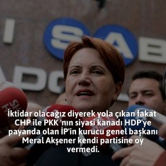Meral’in hazin sonu! Kurduğu partiye oy veremedi...