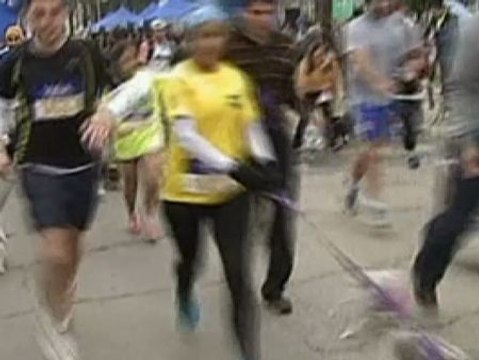 Ochocientos perros y sus dueños participan en una carrera en Chile