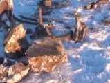 Hallan restos de sangre de mamut en una isla en el Ártico