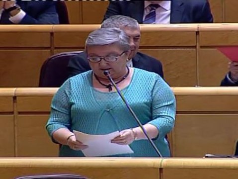 Wert sigue pensando que la diferencia por sexos en las aulas no discrimina