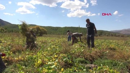 Tunceli Fatih Mehmet Maçoğlu'nun Arşiv Görüntüleri