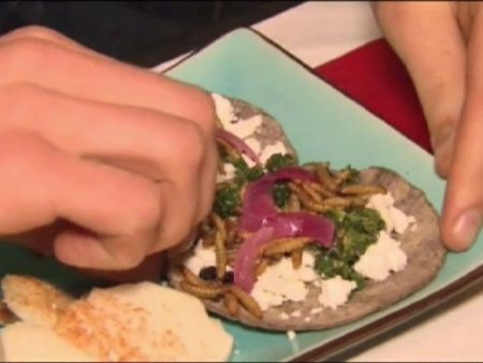 La FAO recomienda explorar el uso de los insectos como fuente de alimentación para paliar el hambre.