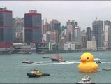 Un pato gigante surca las aguas de Hong Kong