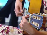 El Hospital Puerta de Hierro ofrece conciertos de música para los pacientes con cáncer