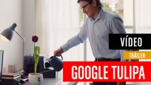 Google Tulip - Bromas de Google
