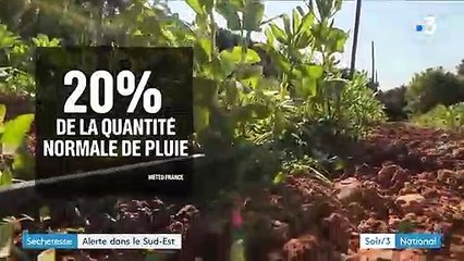 Climat : le Sud-Est victime de la sécheresse en plein hiver