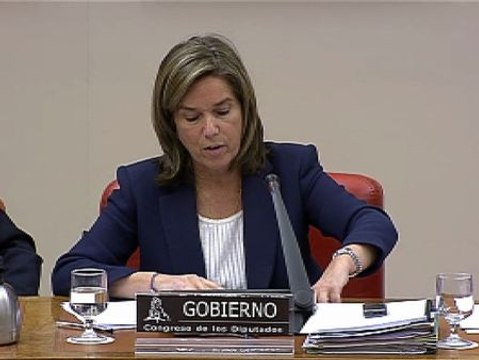 Mato asegura que el fraude por la carne de caballo no afecta a la salud pública