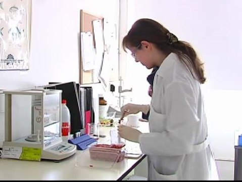 Se duplican los análisis en busca de carne de caballo por la preocupación de las grandes superficies