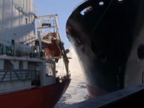 Choque en la Antártida entre ecologistas australianos y japoneses cazadores de ballenas