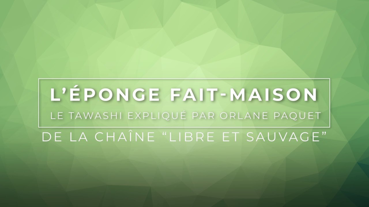 L’éponge fait-maison : le tawashi expliqué par Orlane Paquet