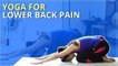 Learn Lower Back Pose - Yoga For Lower Back Pain | Simple Yoga For Beginners |Mind Body Soul