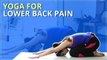 Learn Lower Back Pose - Yoga For Lower Back Pain | Simple Yoga For Beginners |Mind Body Soul