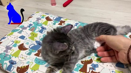 (청송출장마사지) ##P 100%후불-【 Ø1Ø↔6648↔8529카톡SBS88】청송출장안마, 청송출장안마후기, 청송출장안마'만족τ청송출장안마'만족도1위 20대여대생의 최상위 서비스