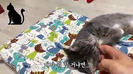 (울진출장마사지) ##P 100%후불-【 Ø1Ø↔6648↔8529카톡SBS88】울진출장안마, 울진출장안마후기, 울진출장안마'만족τ울진출장안마'만족도1위 20대여대생의 최상위 서비스
