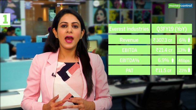 3 Point Analysis | Everest Industries Or Visaka Industries: The Better Pick?