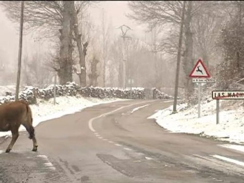 25 provincias en alerta por nevadas en toda España