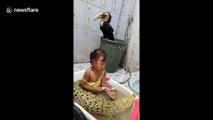 Fearless girl brushes crocodile's teeth during bath in Indonesia
