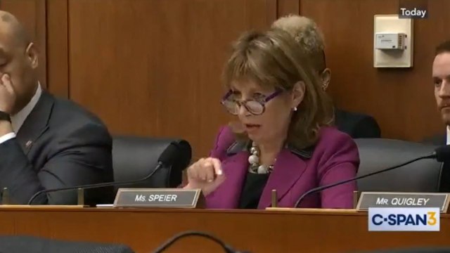 House Intelligence Committee Question Expert On Austrian Bank's Funding Of Trump Tower Project