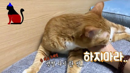 (가평출장마사지) ##P 100%후불-【 Ø1Ø↔6648↔8529카톡SBS88】가평출장안마, 가평출장안마후기, 가평출장안마'만족τ가평출장안마'만족도1위 20대여대생의 최상위 서비스