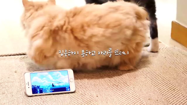 (양구출장마사지) ##P 100%후불-【 Ø1Ø↔6648↔8529카톡SBS88】양구출장안마, 양구출장안마후기, 양구출장안마'만족τ양구출장안마'만족도1위 20대여대생의 최상위 서비스