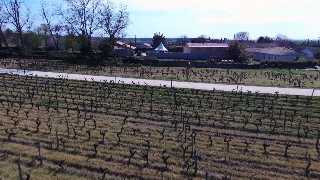 VOL AU DESSUS DU VIGNOBLE DE SAUTERNES (HD 1080)