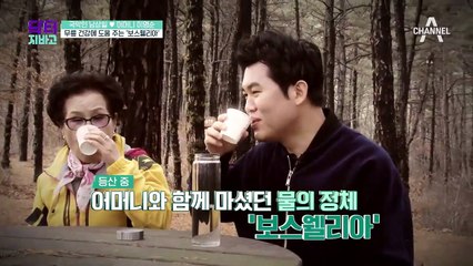 ※국악인 남상일의 추천※ '보스웰리아'로 만드는 천연 파스 大공개