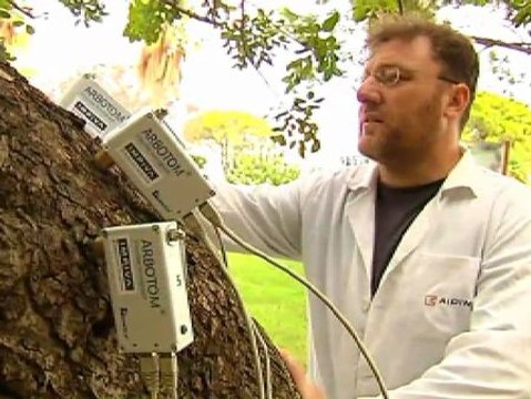 Tecnología contra las caídas de árboles