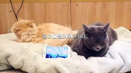 (세종출장마사지) ##P 100%후불-【 Ø1Ø↔6648↔8529카톡SBS88】세종출장안마, 세종출장안마후기, 세종출장안마'만족τ세종출장안마'만족도1위 20대여대생의 최상위 서비스