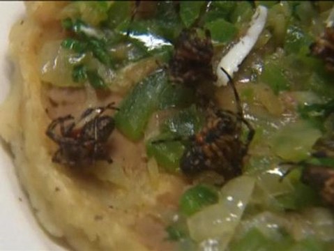 Arañas y alacranes en el menú del día