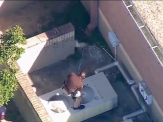 Encuentran a un cocodrilo en un colegio