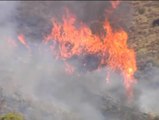 Un incendio quema unas 200 hectáreas en Los Montes de Málaga