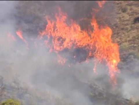 Un incendio quema unas 200 hectáreas en Los Montes de Málaga