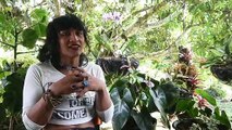 Una indígena transgénero y una diseñadora colombiana conquistan las pasarelas