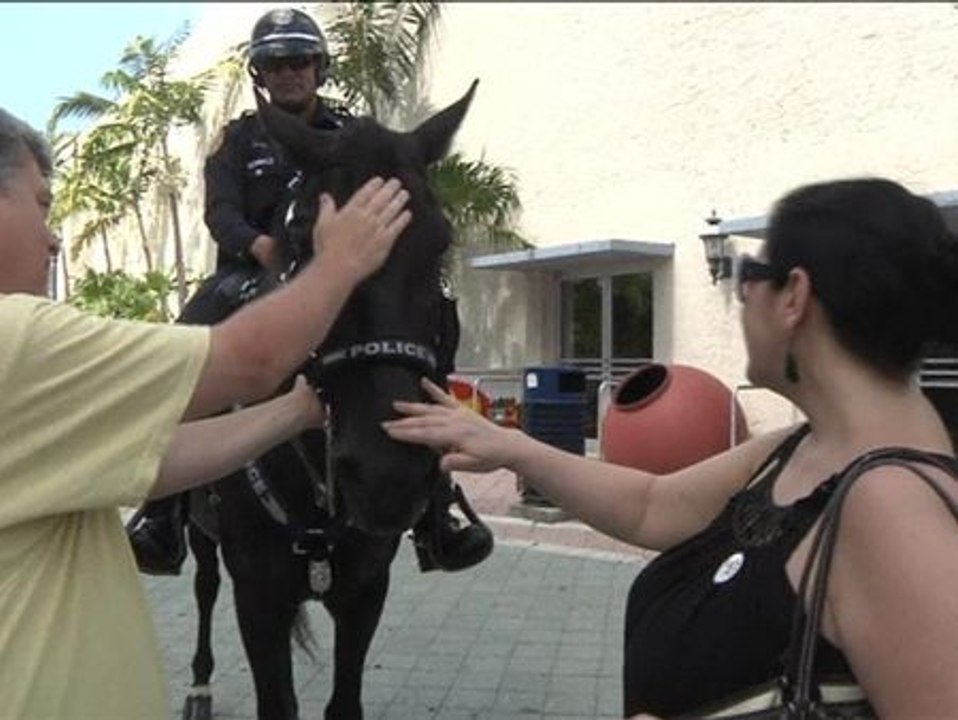 Un caballo policial causa furor en Miami