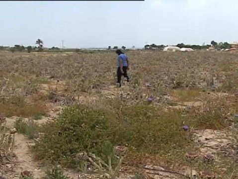 La sequía de los últimos meses empeora la situación de los agricultores españoles