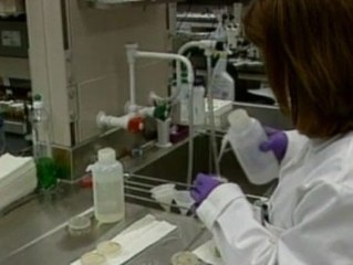 Científicos crean el primer cromosoma artificial