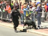 Récord de participantes en el maratón de Boston un año después del atentado
