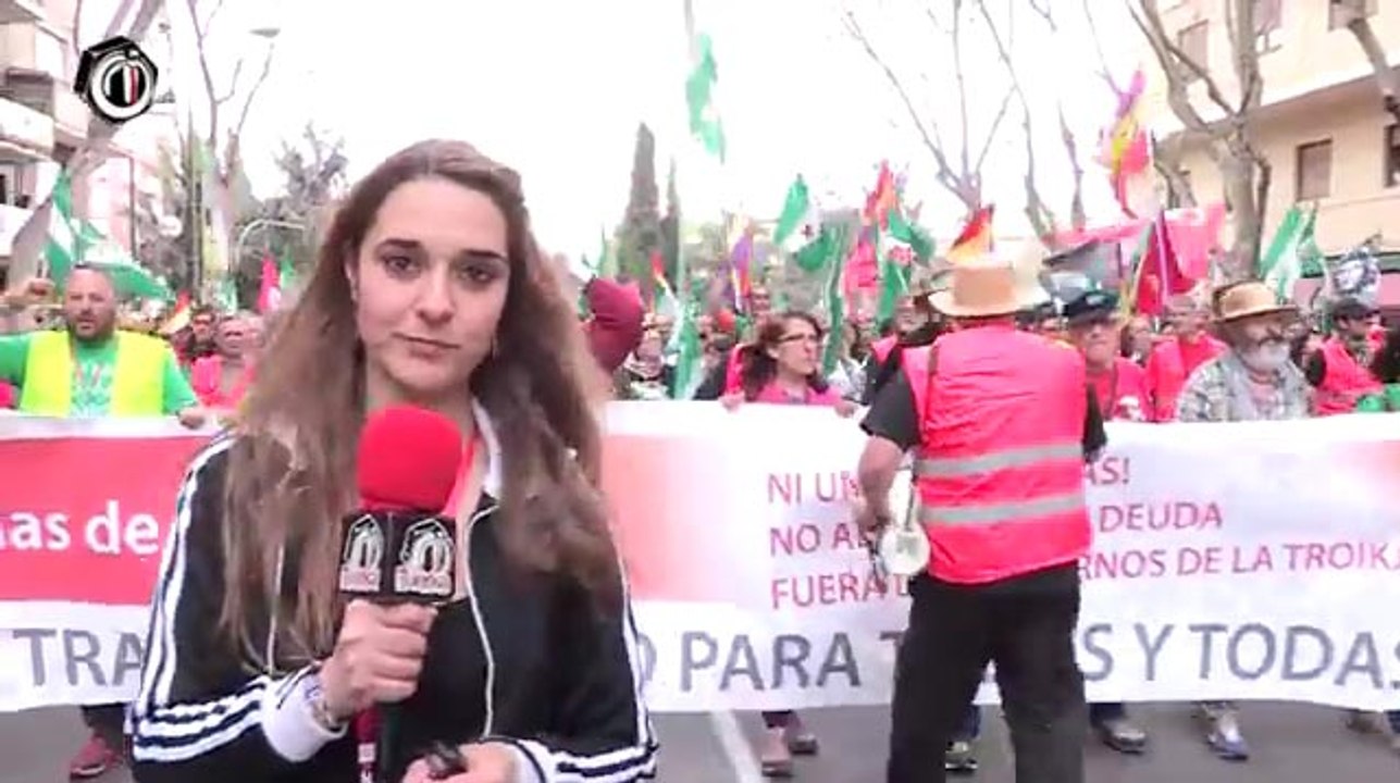 22M Entrada de la Columna Sur a Madrid