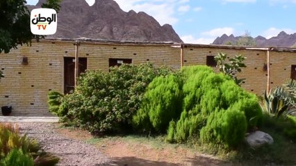 المسعودي لودج  مخيم بدوي على طراز عالمي في سانت كاترين