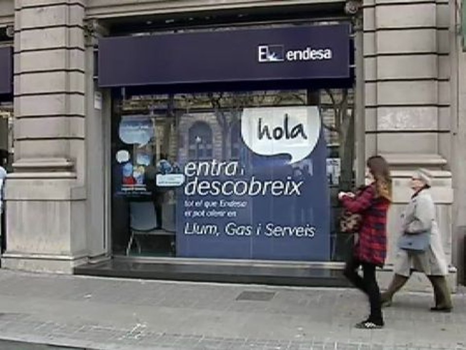 La Alianza contra la Pobreza Energética (APE) ocupa una oficina de Endesa