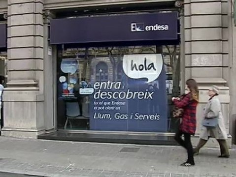 La Alianza contra la Pobreza Energética (APE) ocupa una oficina de Endesa