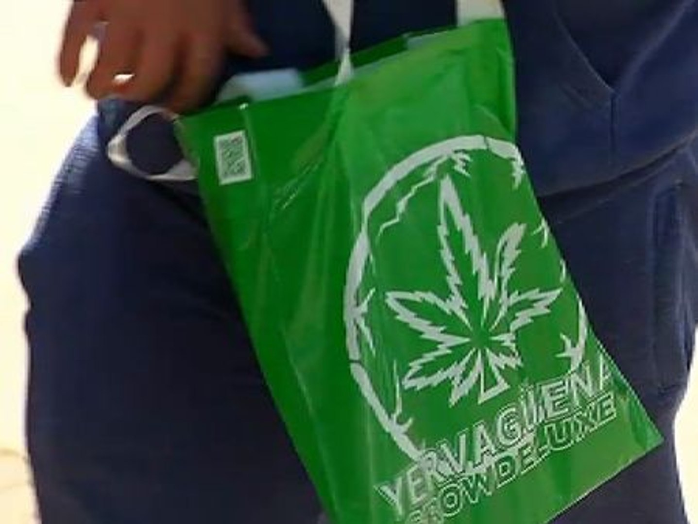 Fería del Cannabis