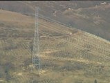 Red Eléctrica de España reforesta el Bosque de El Remendón en Turtzioz (Vizcaya)