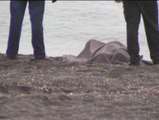 Aparece otro cadáver en la costa de Ceuta