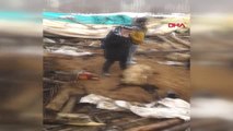 Van Çatak'ta Ahır Çöktü, 360 Küçükbaş Telef Oldu